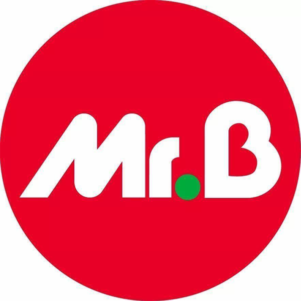 Mr.Bricolage Bessières