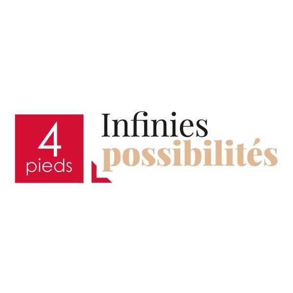 4 Pieds Grenoble - Saint Egrève Meubles, articles de décoration