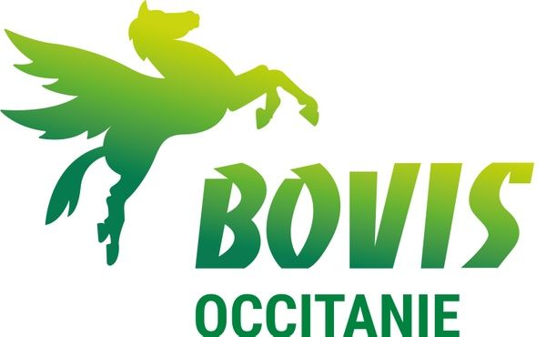 BOVIS OCCITANIE déménagement