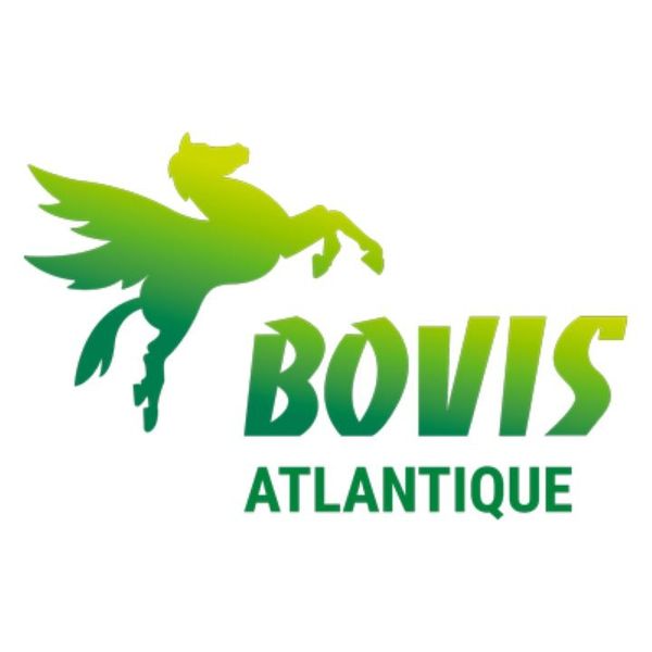 BOVIS ATLANTIQUE transport routier (lots complets, marchandises diverses)