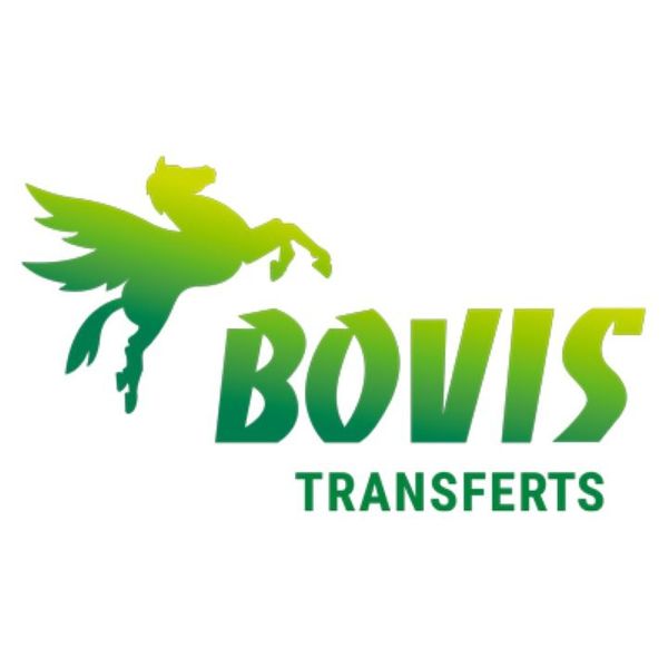 BOVIS TRANSFERTS