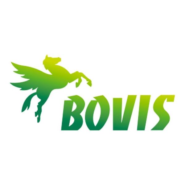 BOVIS SAINT-WITZ transport routier (lots complets, marchandises diverses)