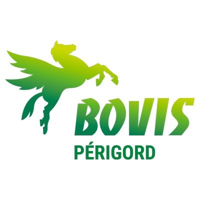 BOVIS PÉRIGORD transport routier (lots complets, marchandises diverses)