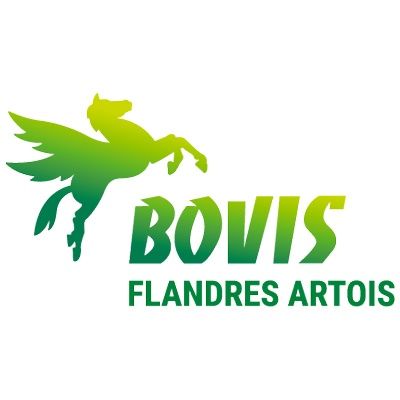 BOVIS FLANDRE-ARTOIS grue, monte-charge et élévateur de chantier