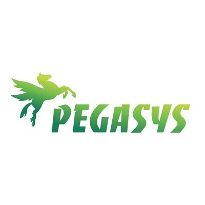 BOVIS PÉGASYS GROUPE transport international