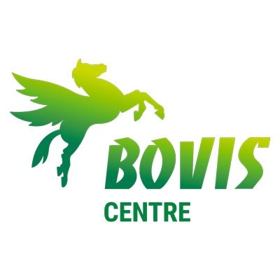 BOVIS CENTRE transport international