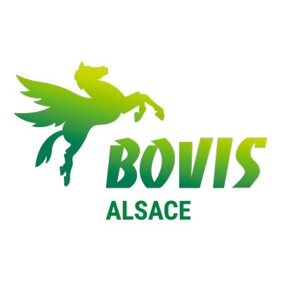 BOVIS ALSACE transport international