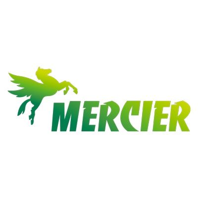 BOVIS MERCIER LAVAULT transport routier (lots complets, marchandises diverses)