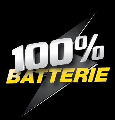 100% Batterie pièces et accessoires automobile, véhicule industriel (commerce)