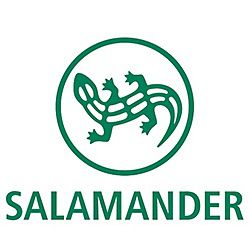 Salamander chaussures (détail)