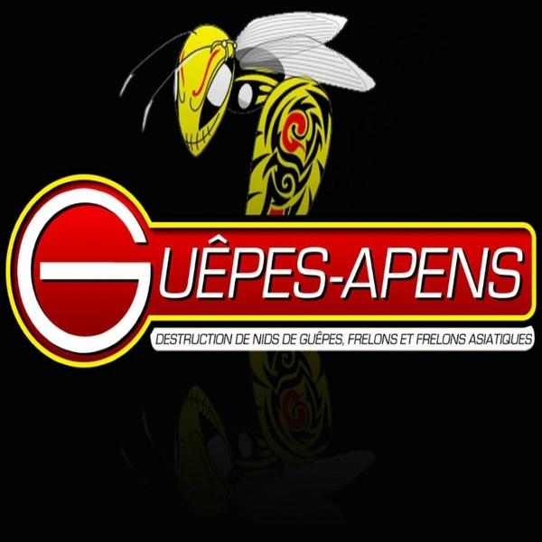 Guêpes-Apens désinfection, désinsectisation et dératisation