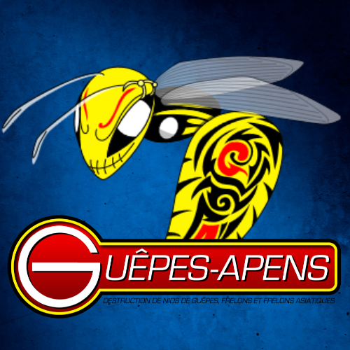 Guêpes-Apens désinfection, désinsectisation et dératisation