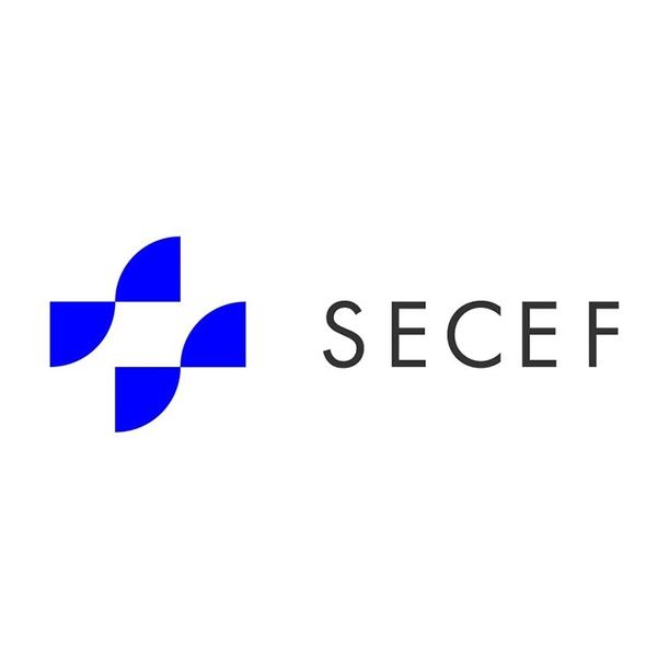 S.E.C.E.F expert-comptable