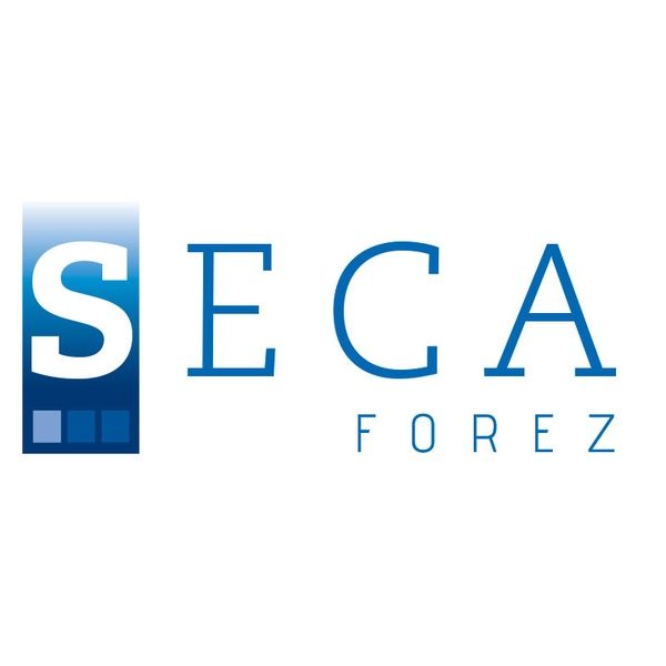 S.E.C.A Forez expert-comptable