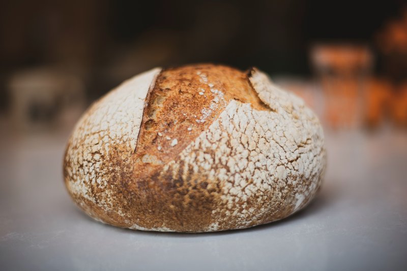 Todo sobre mi (masa) madre. Qué es, cómo se mantiene y cómo usarla para  hacer pan