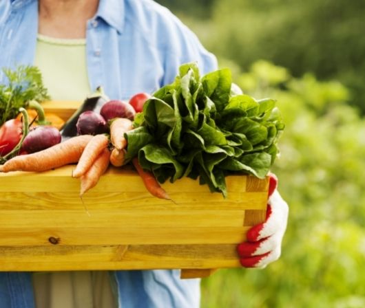 ¿qué Es La Dieta Orgánica Y Por Qué Tiene Tantos Beneficios Yemaemk 3595