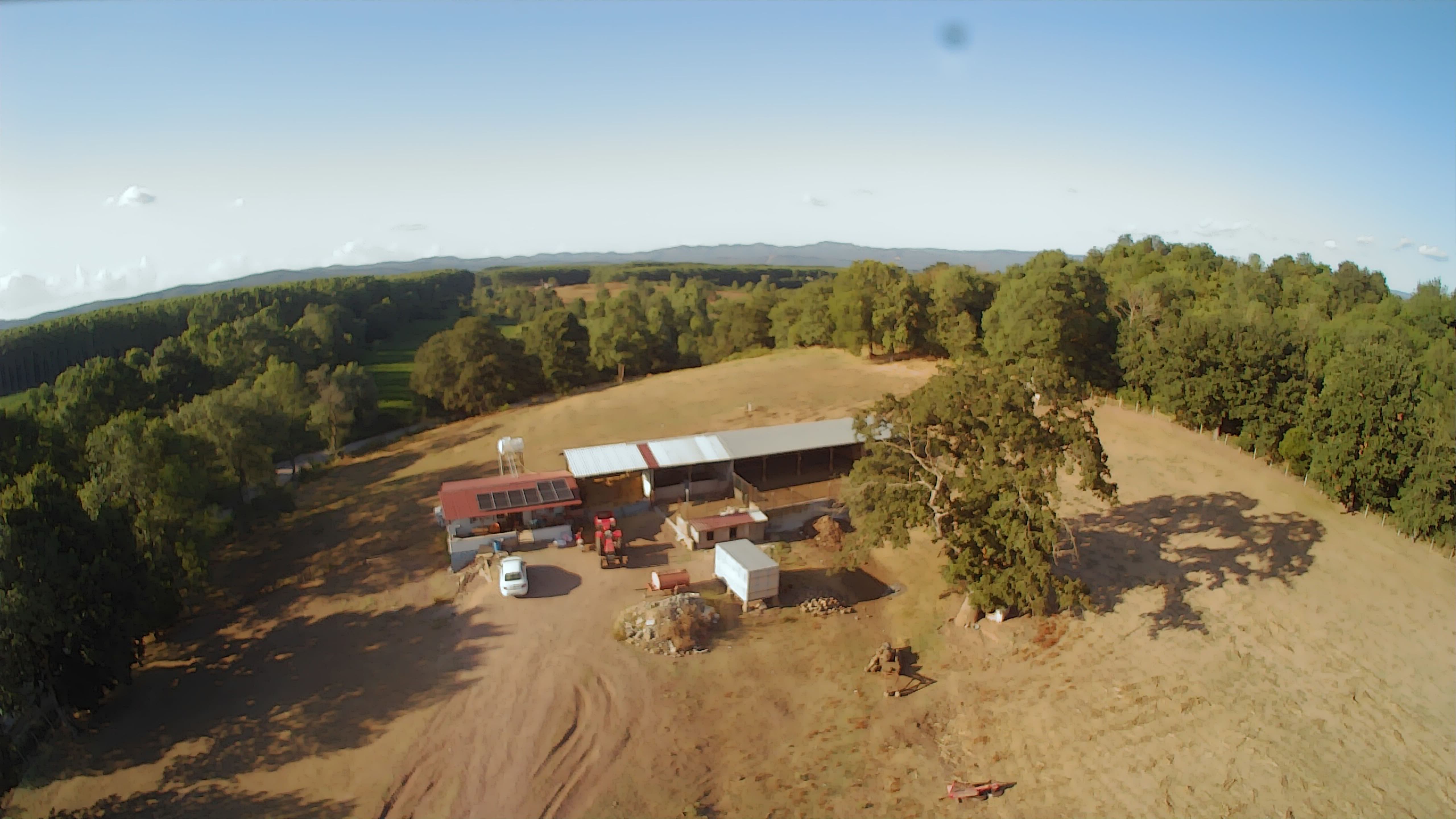 İLYASLAR MAHALLESİNDE KİRALIK ÇİFTLİK