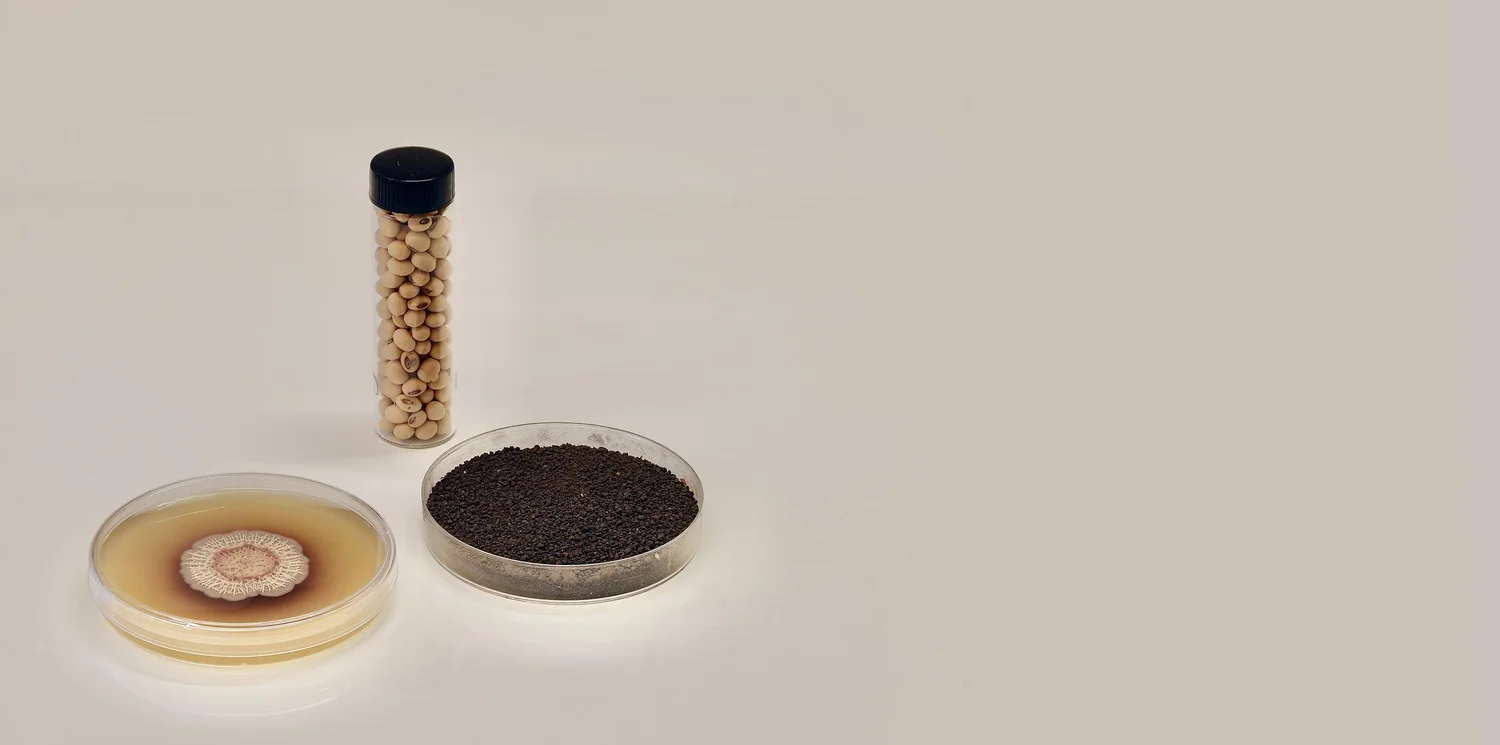 Andes microbial carbon removal in agricultural fields