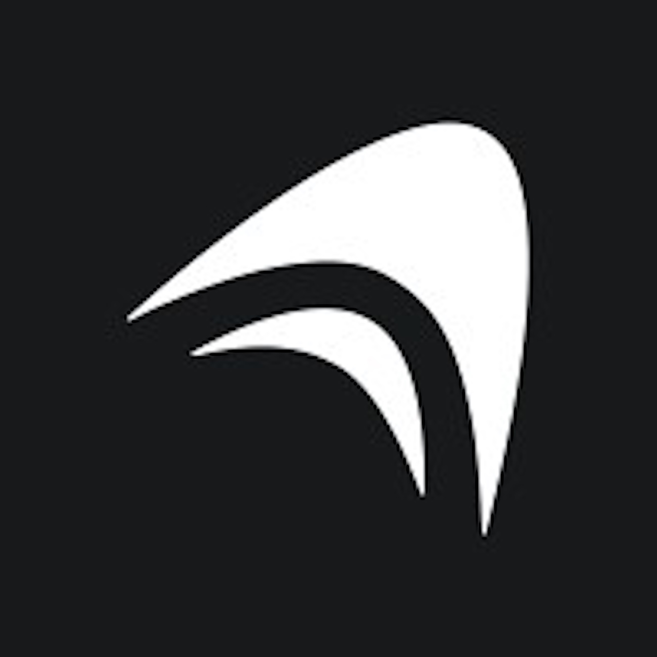 Anything company logo
