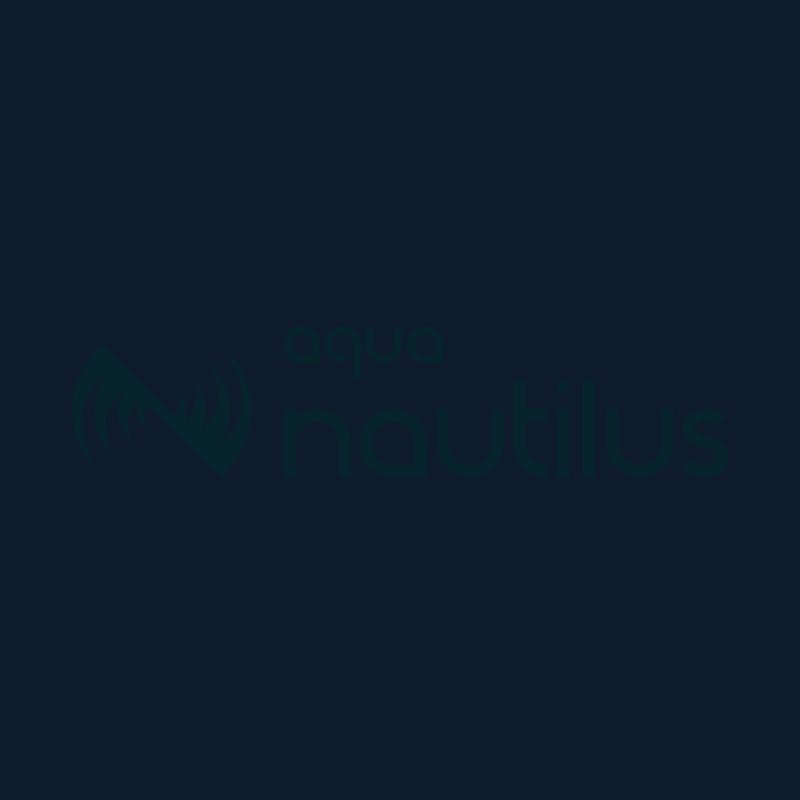 Aqua Security company logo