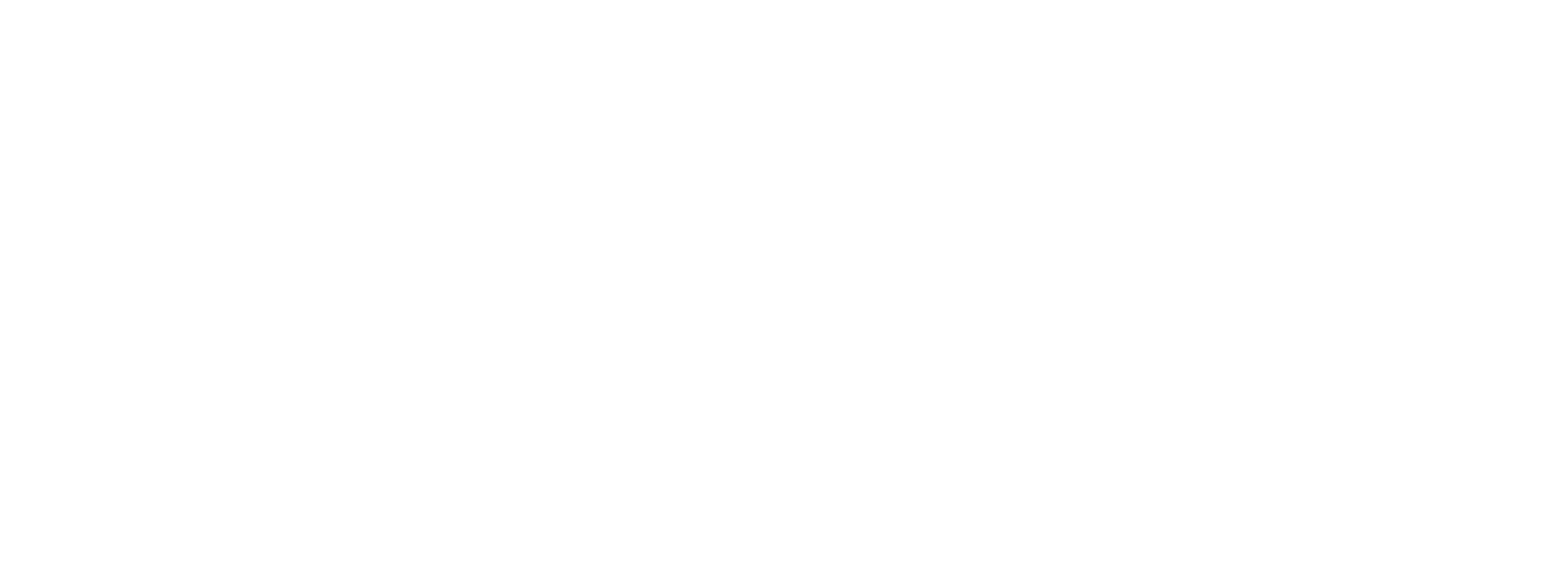BlueMark company logo
