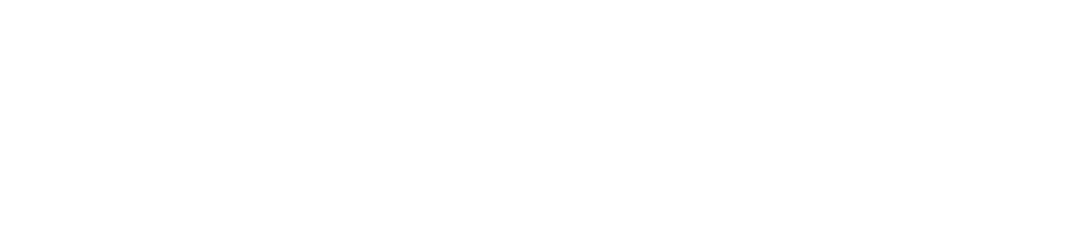 Brainchain AI logo