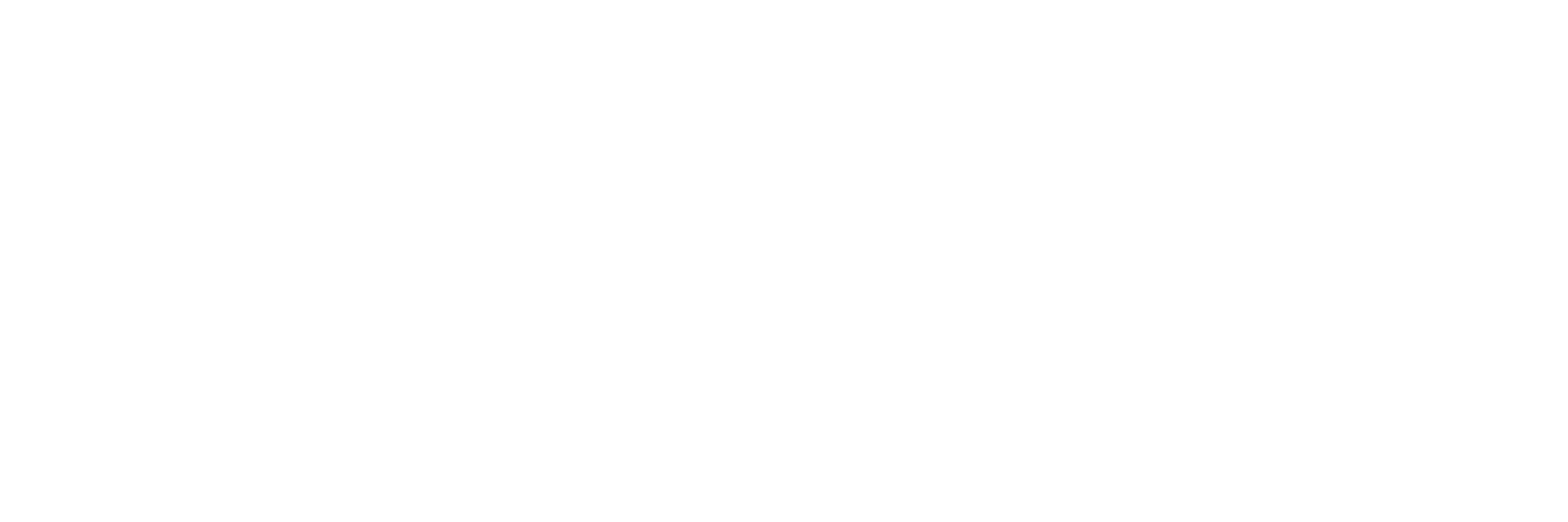 Epik Solutions (Epikso) company logo