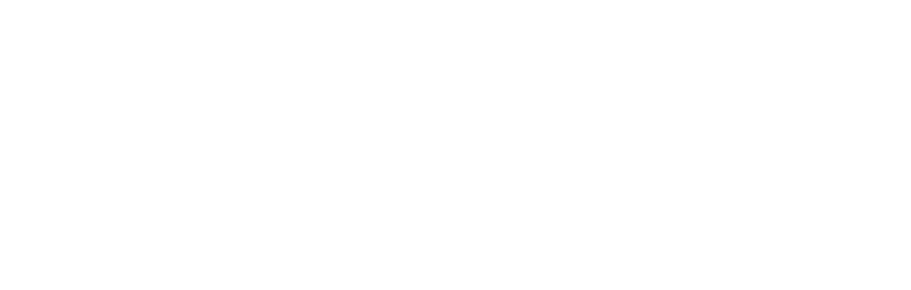 Felux logo
