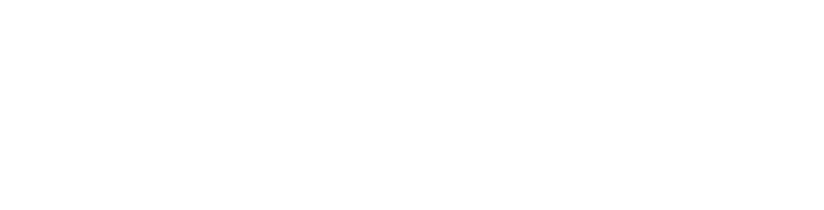 Fligoo logo