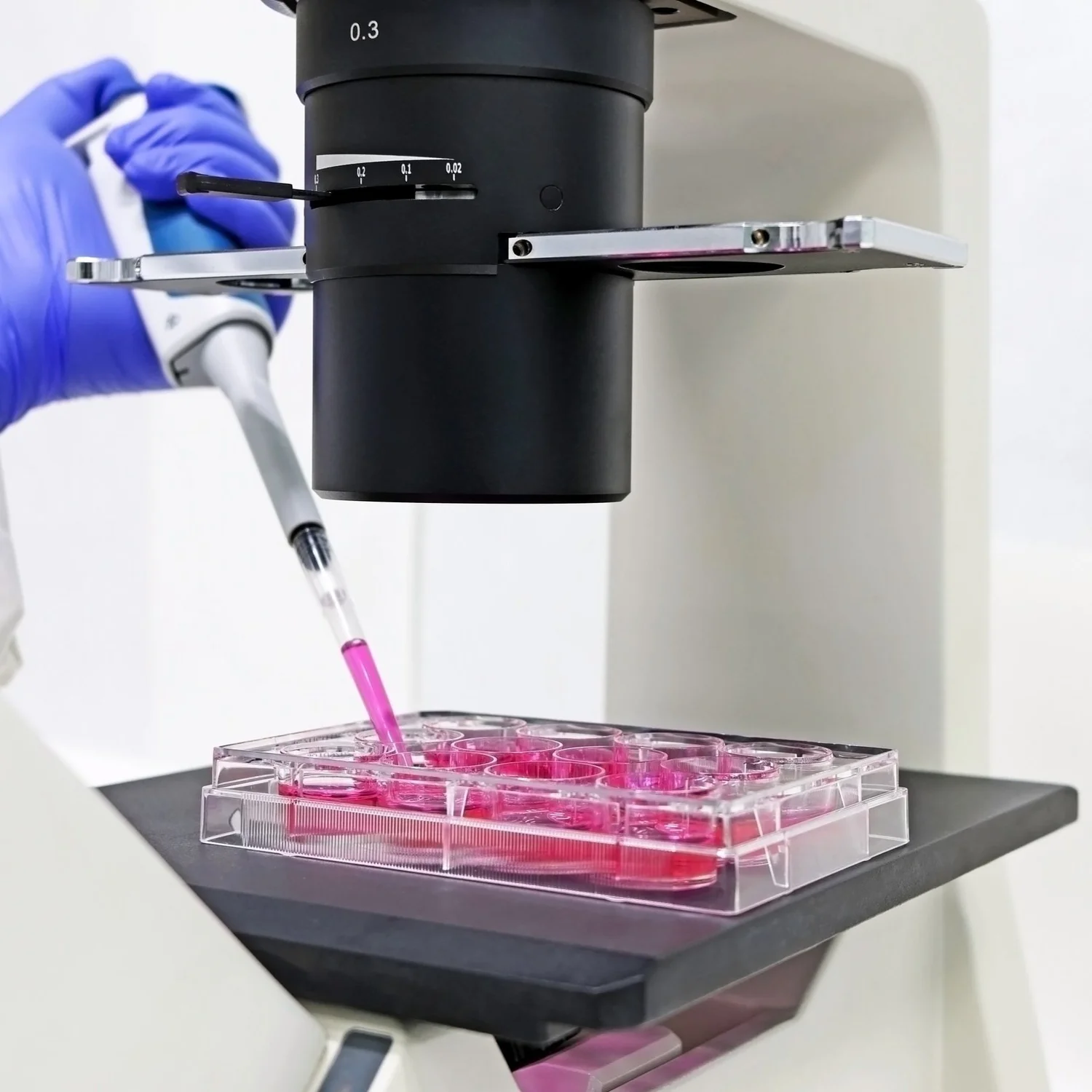 Scientist working with a cell culture dish under a microscope at GC Therapeutics