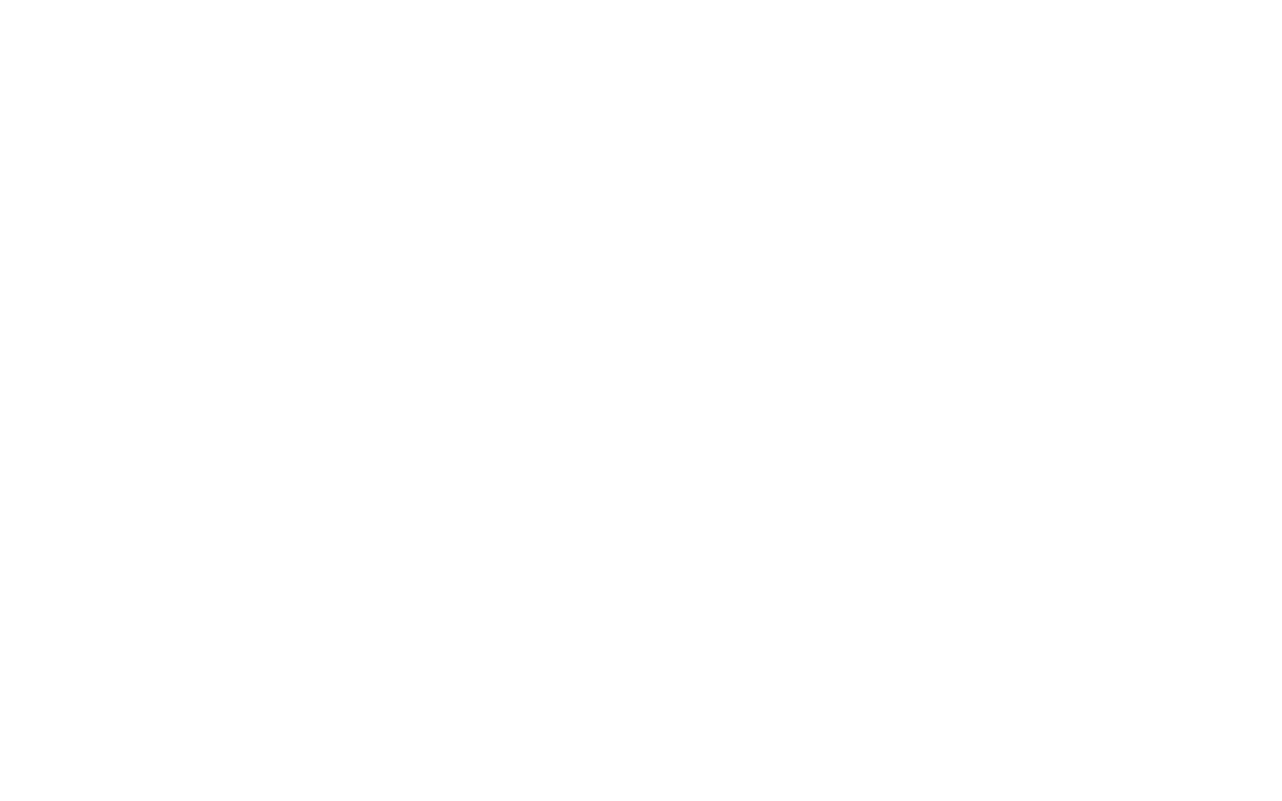 Level Forward logo