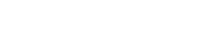 Levelpath logo