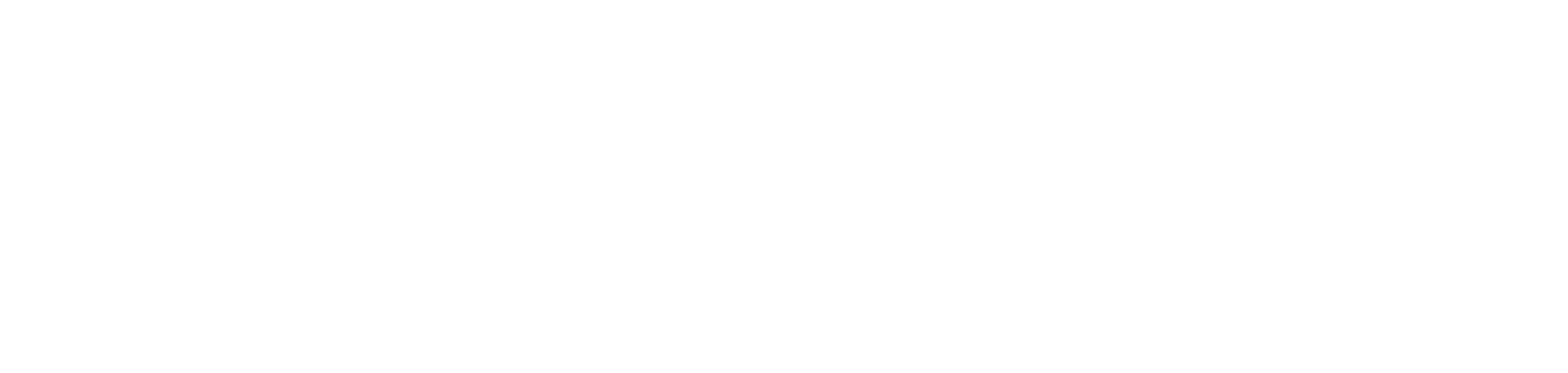 Maev logo