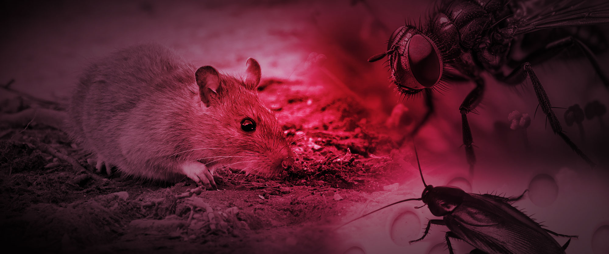 Microshare EverSmart Pest monitoring hardware