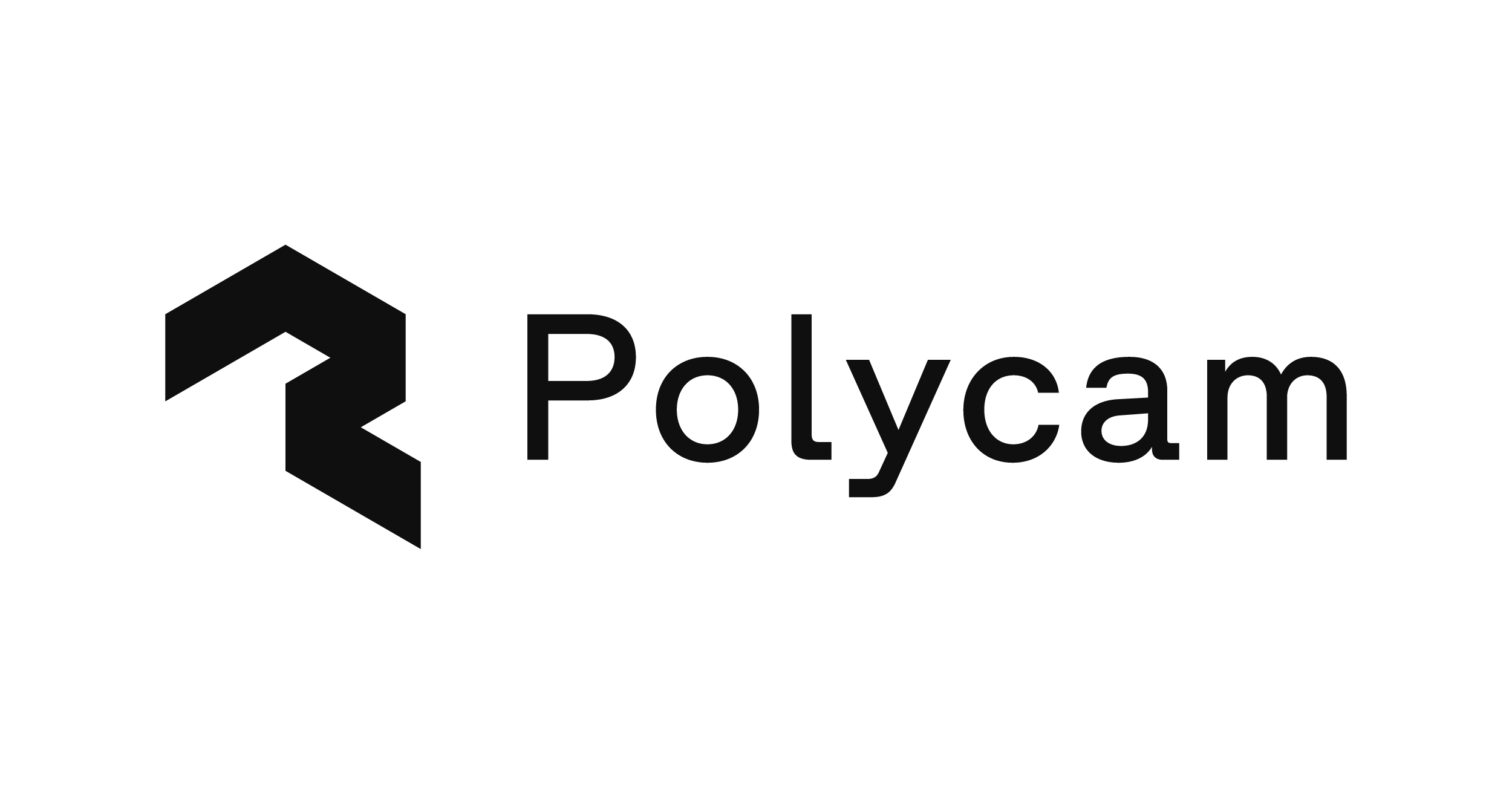 Polycam brand image