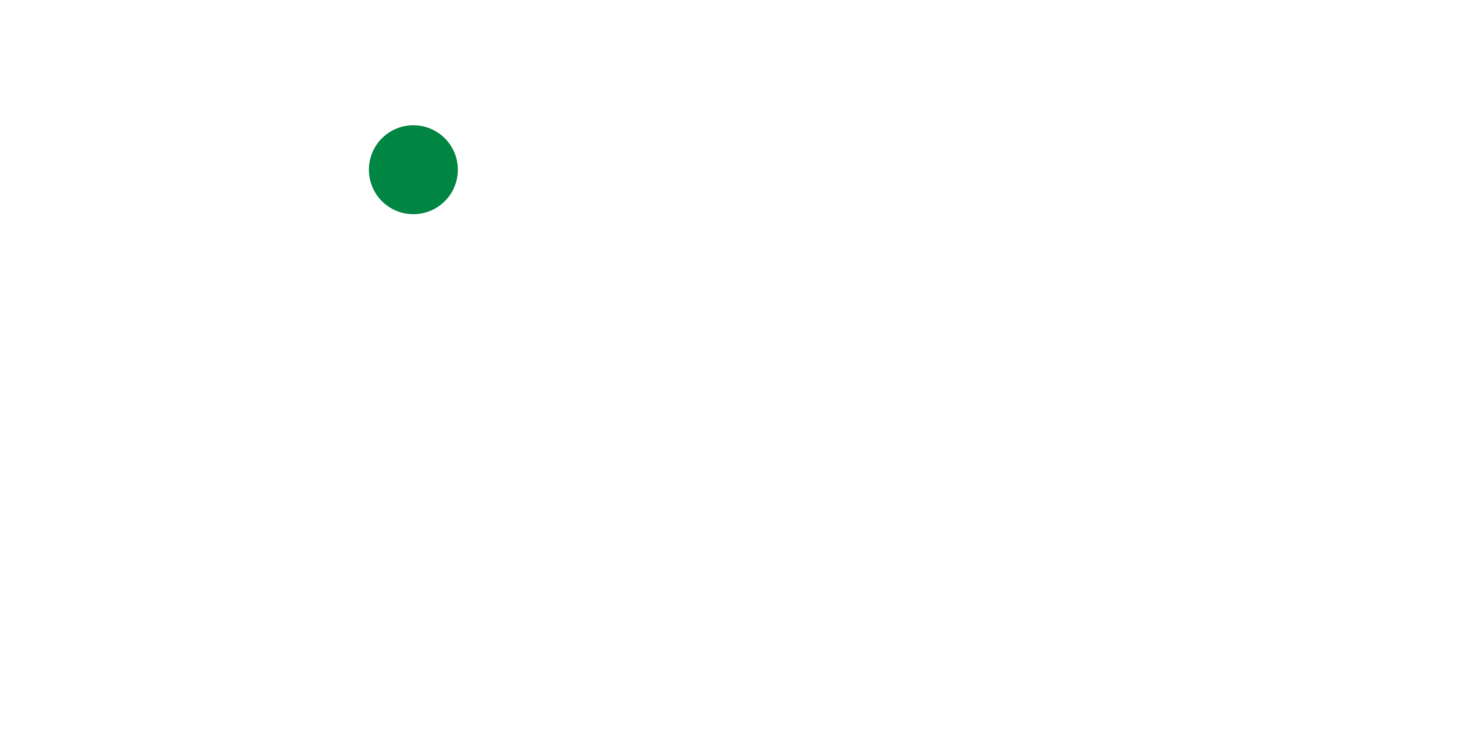 Rev Intelligence logo