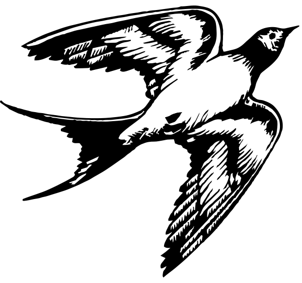 Skylark logo - a stylized songbird