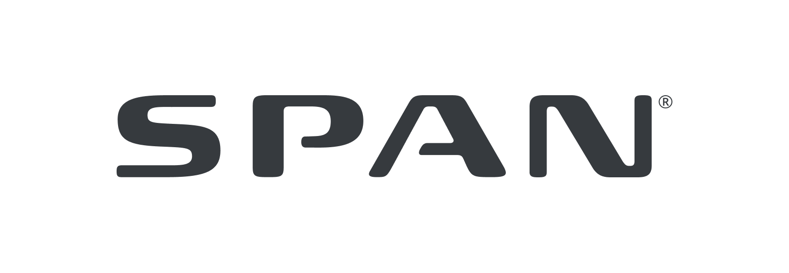 SPAN logo