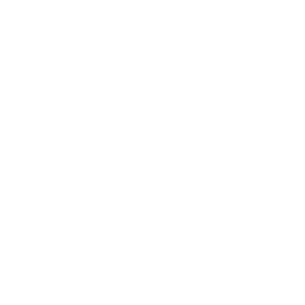 VELMENI logo