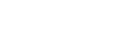 Viddsee logo