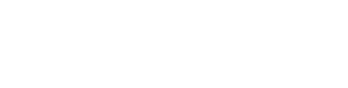 Woflow logo