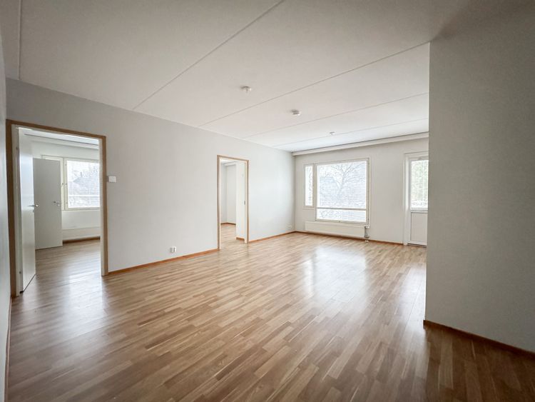 Kuvattu tammikuussa 2026