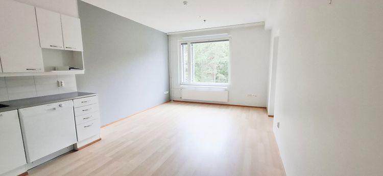 Kuvattu maaliskuussa 2026