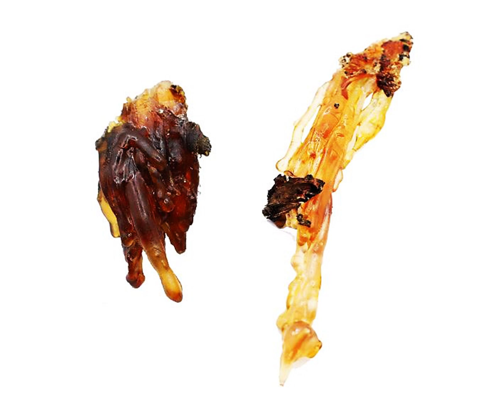 琥珀的世界 - 第8張