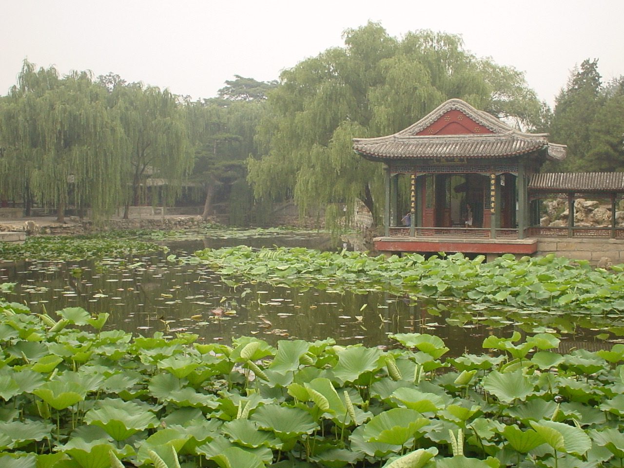 北京韓國之旅 - 第59張