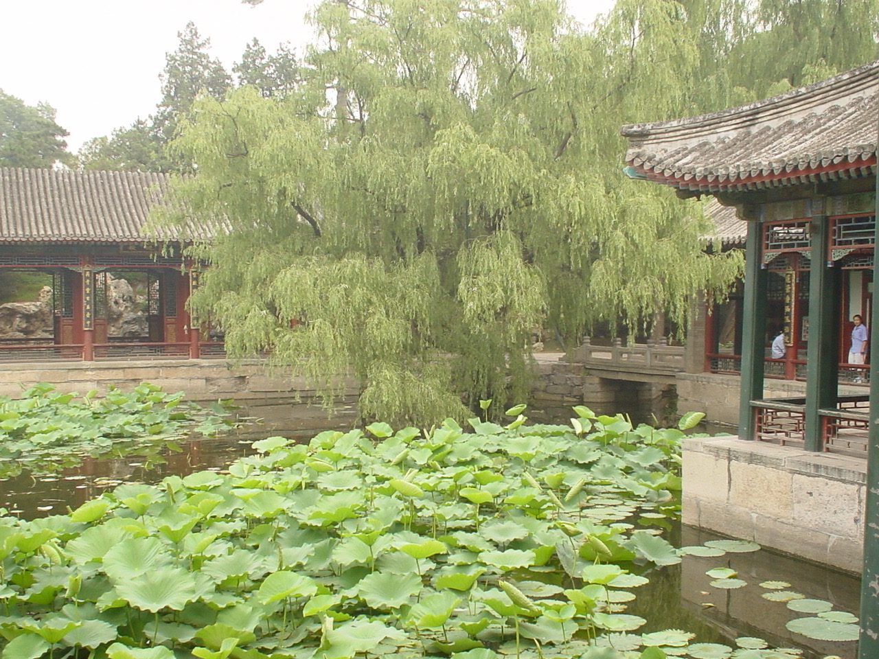 北京韓國之旅 - 第60張