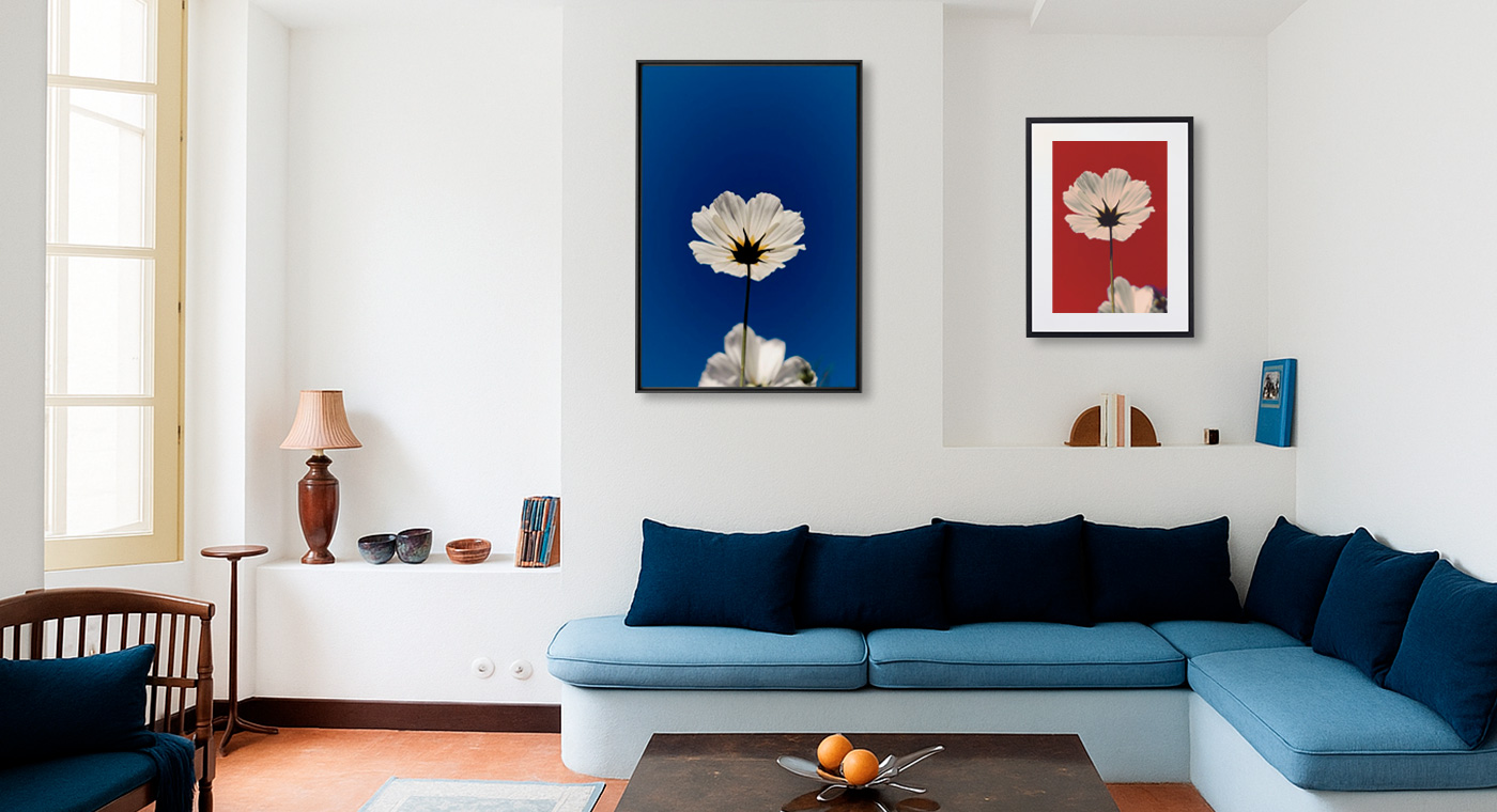 Fleurs De Pavot, Flowers, MICHEL GANTNER · Art photographs