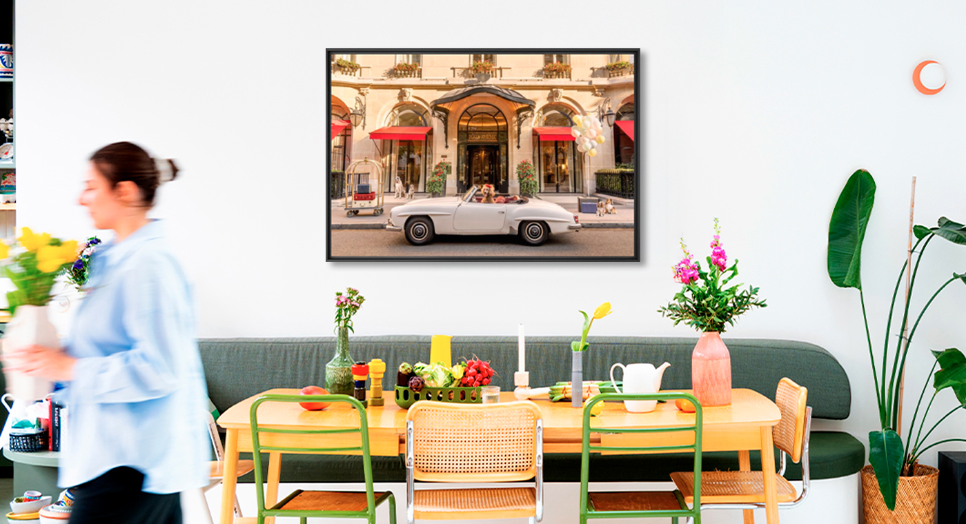 Dogs at hotel Plaza Athenee