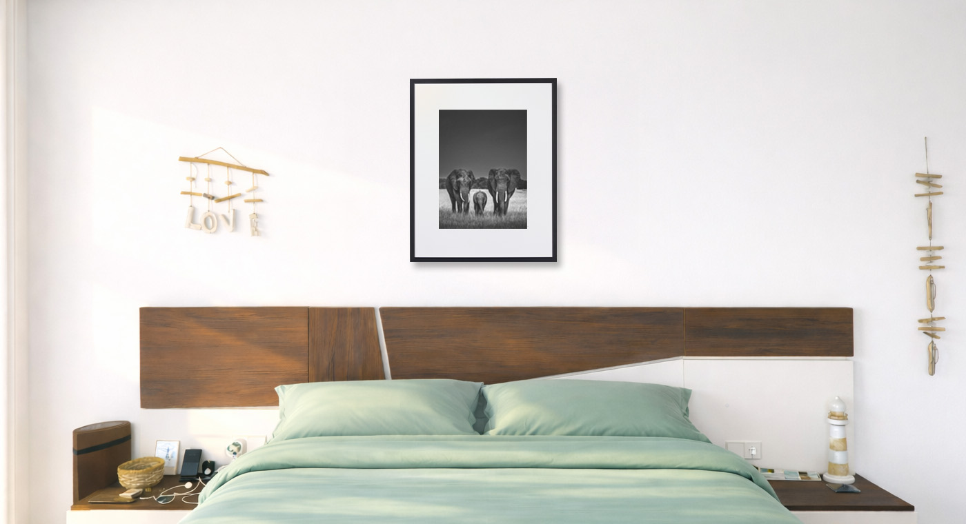 Body Guards - LAURENT BAHEUX - Photograph