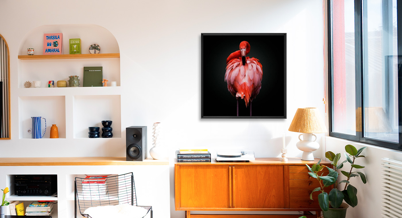 WATCH YOUR BACK - PEDRO JARQUE KREBS - Kunstfoto